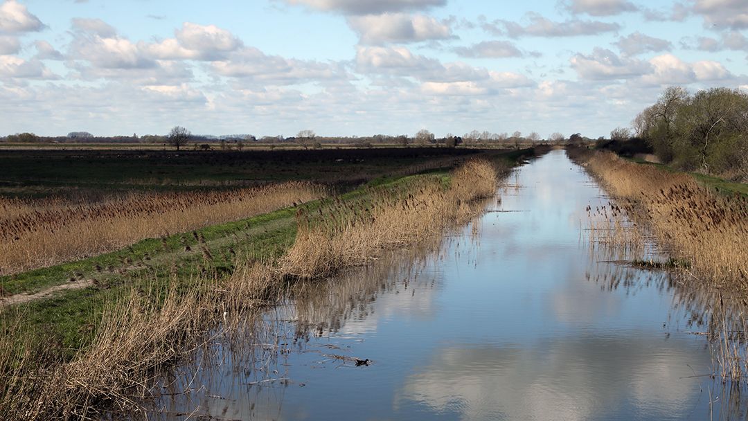 Fixing the Fens