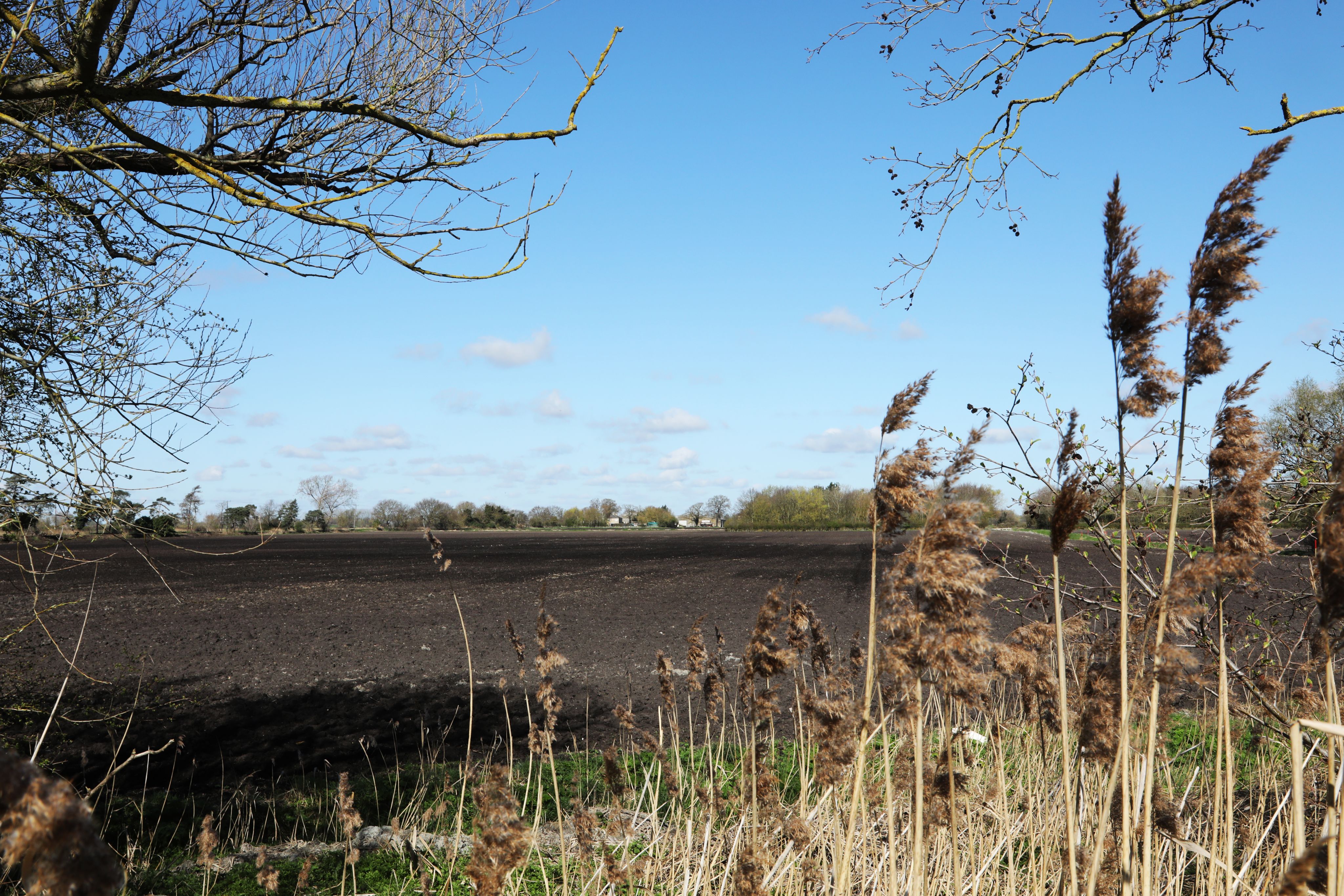 Fixing the Fens