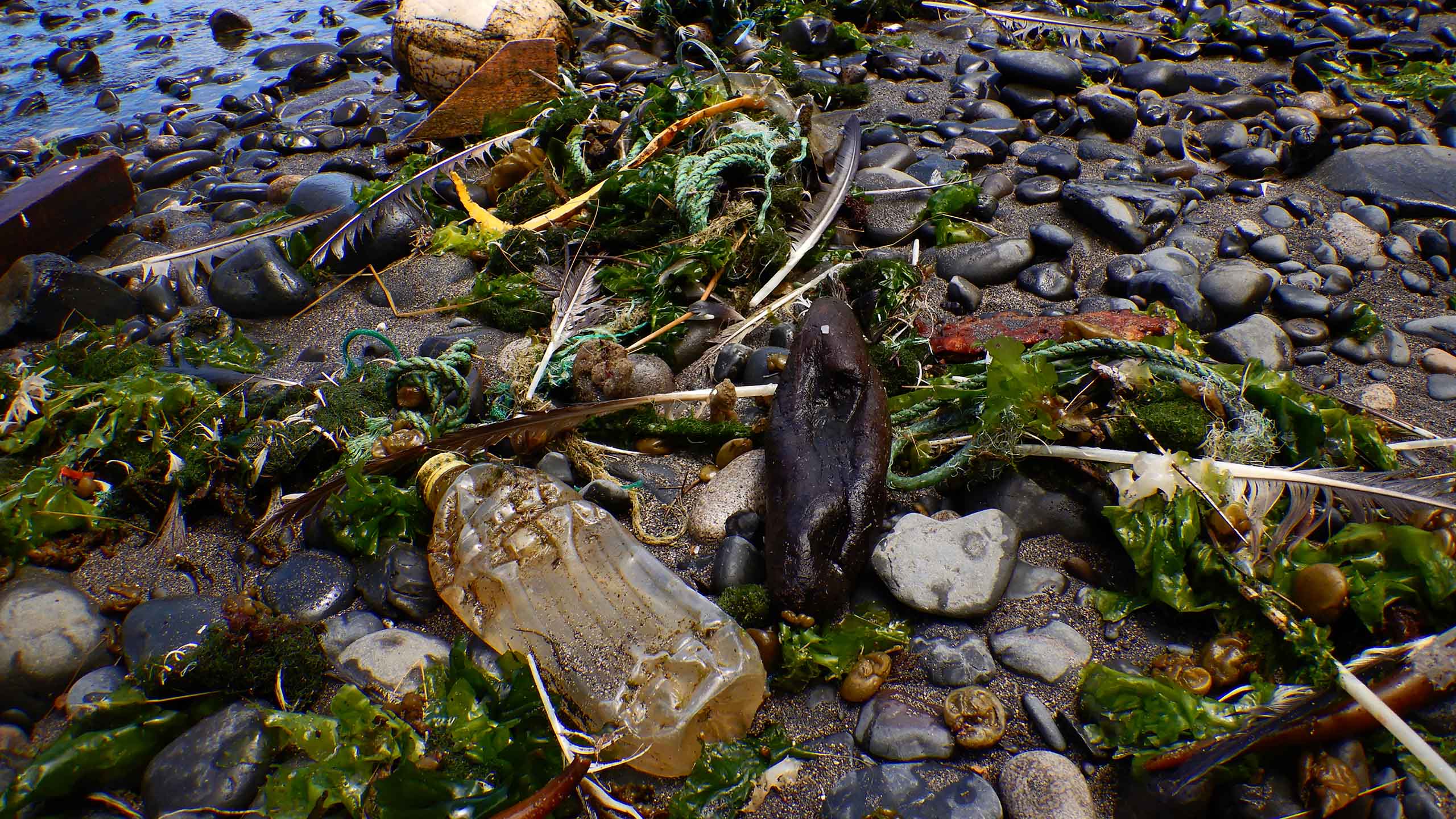Plastic debris on the beach of Juan Fernández