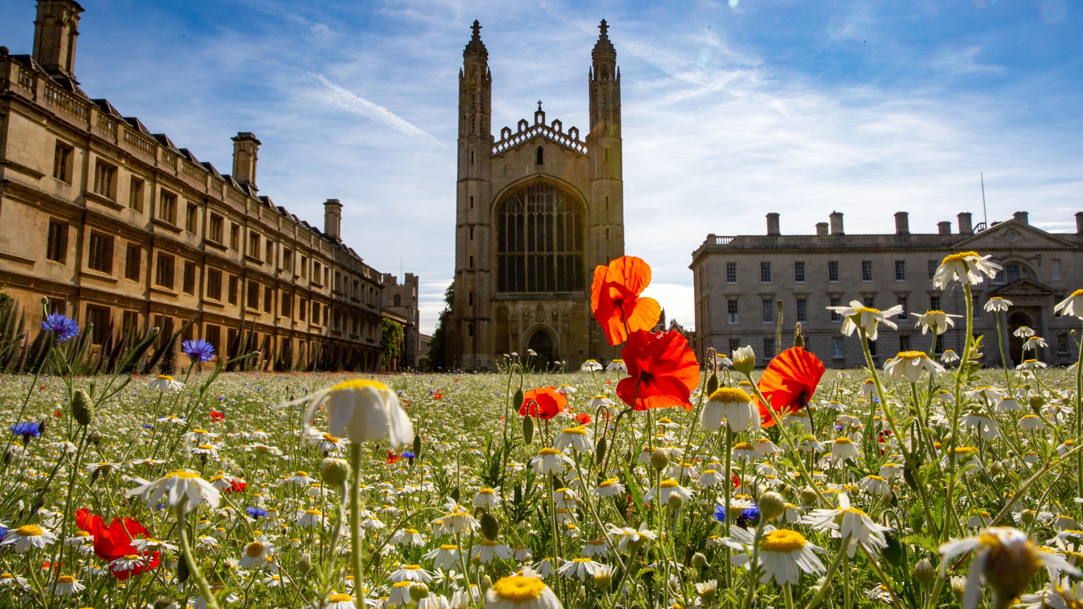 King's College meadow with chapel in background