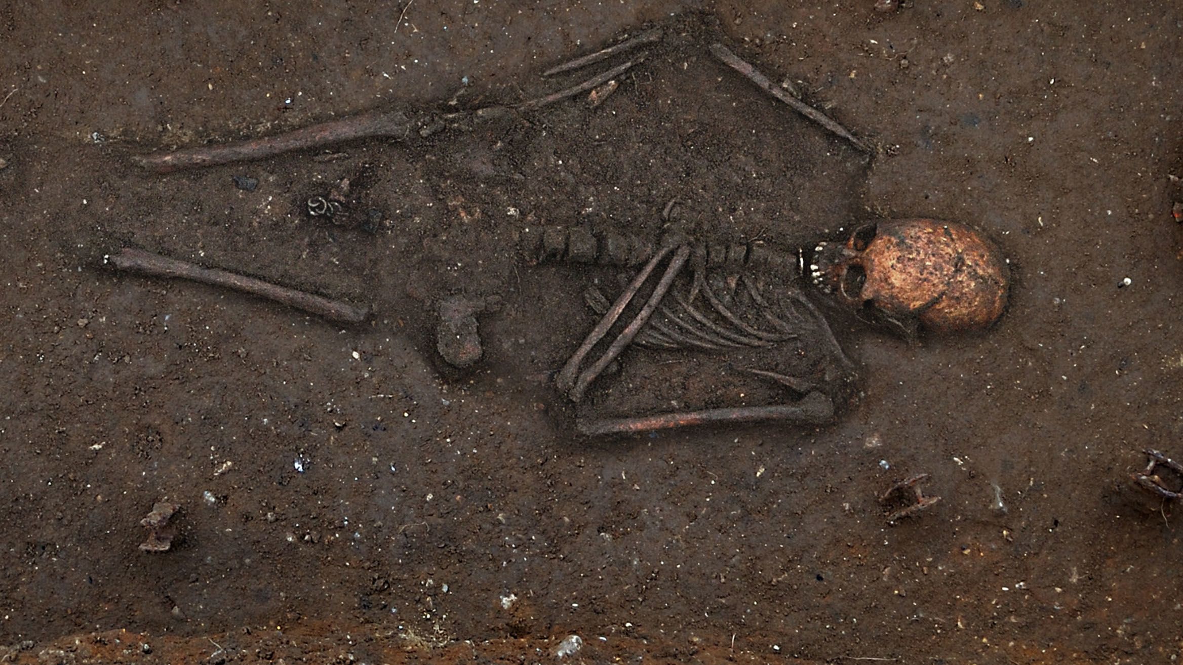 Trumpington bed burial composite image. Courtesy of University of Cambridge Archaeological Unit