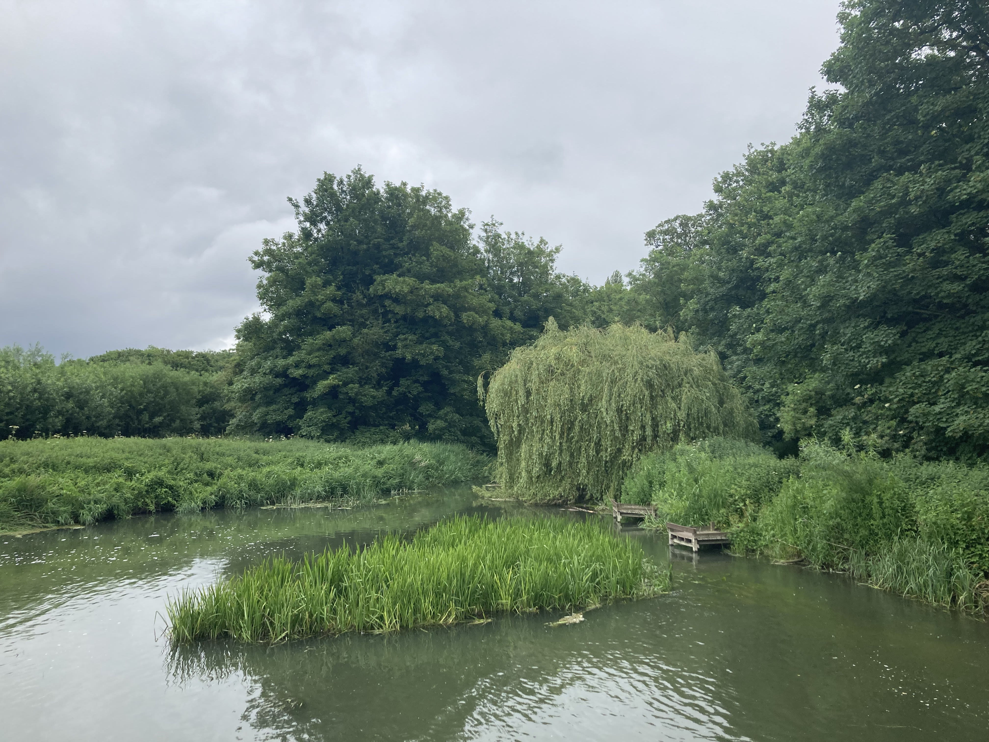 Byron's Pool in Grantchester