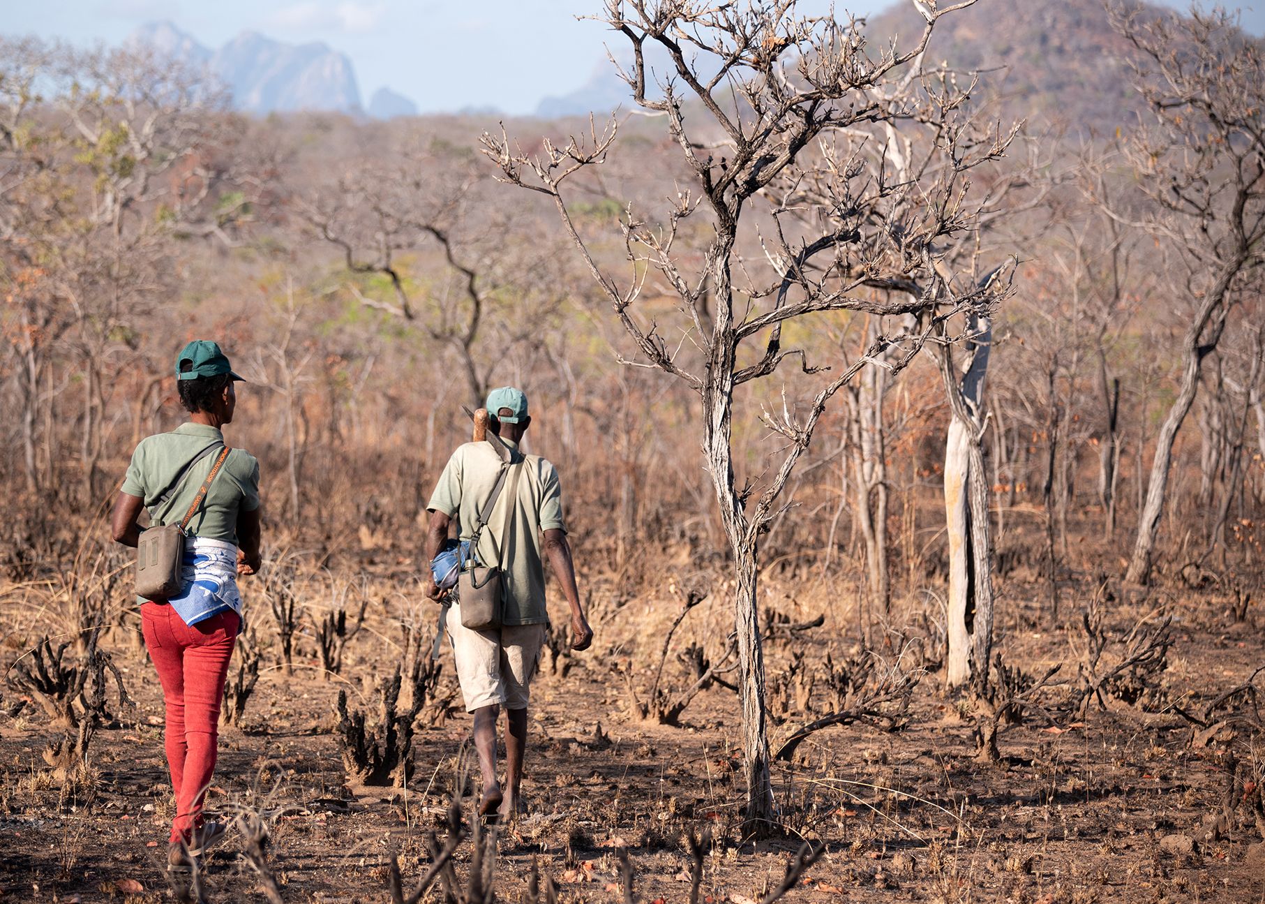 Yao honey-hunters Fatima Balasani and Seliano Rucunua calling for honeyguides in Niassa Special Reserve, Mozambique