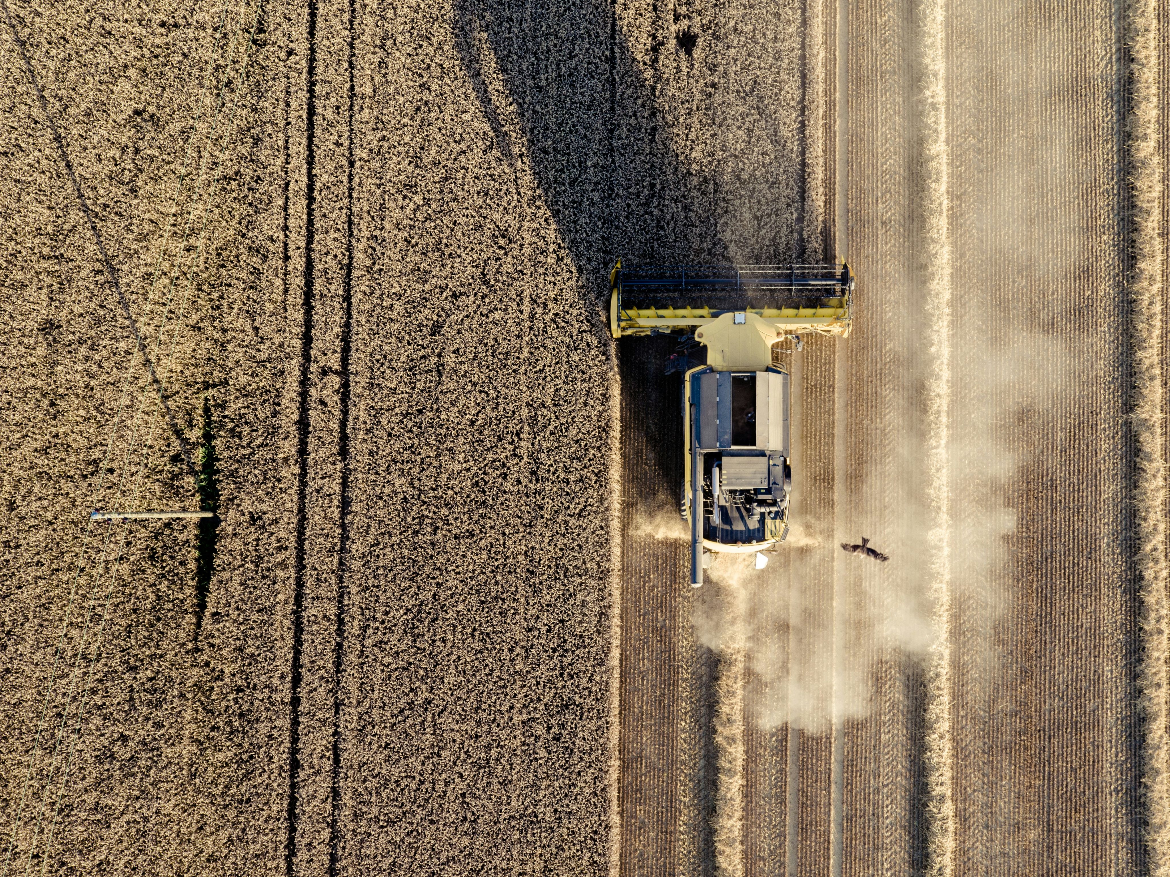 aerial shot of crop field