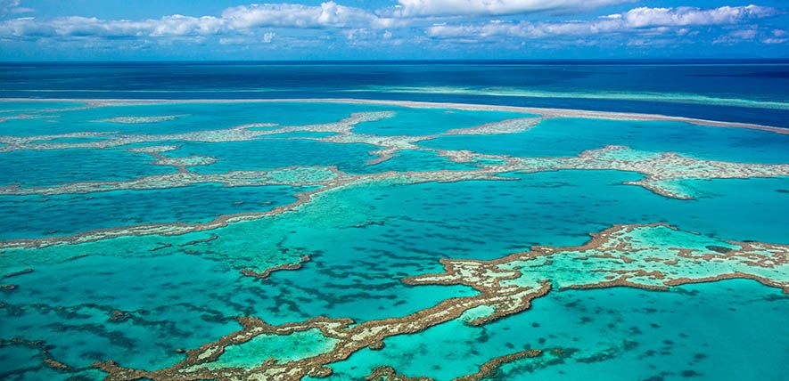 Buying time: can science save the Great Barrier Reef?