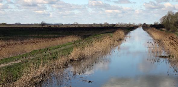River with black fen soil in background