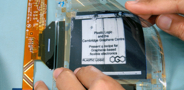 Active matrix electrophoretic display incorporating graphene