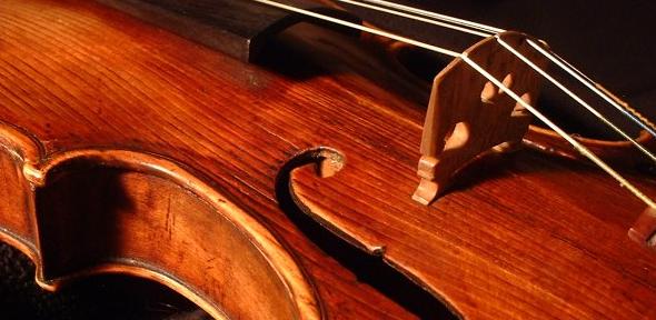 Violin -- closeup