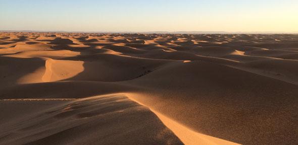 Sea of dunes
