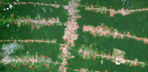 Forest clearing along roads in the southern Brazilian Amazon (in Rondônia) 