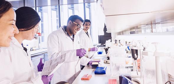 Cancer researchers in the laboratory