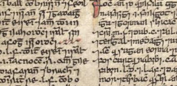 National Library of Ireland, Manuscript G11 403a10. Image, Irish Scripts on Screen www.isos.dias.ie