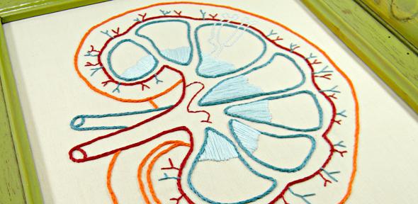 Framed Embroidery Kidney