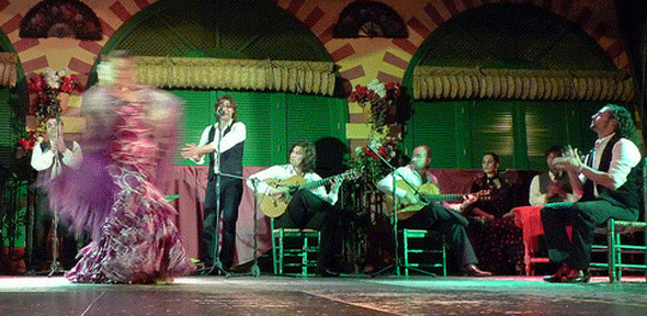 Flamenco by Veyis Polat (cropped)