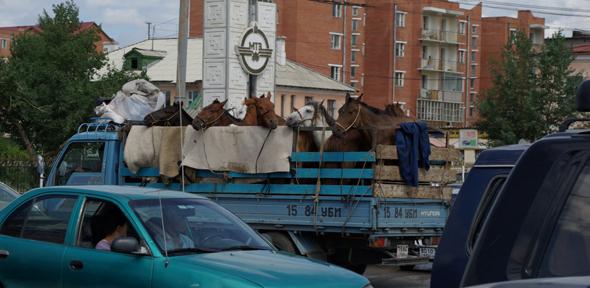 Traffic in Ulaanbaator