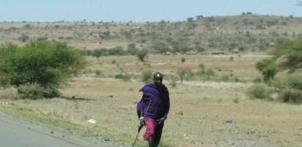 Masai bush landscape