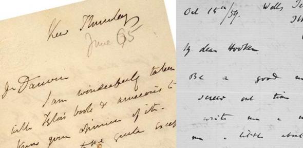 Letters exchanged by Darwin with his close friend Joseph Hooker, Director of the Royal Botanic Gardens, Kew; the letter from Darwin was written shortly after the completion of On the Origin of Species in 1859  