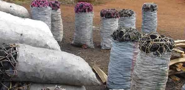 Bags of charcoal lined on the road into Dar es Salaam. This charcoal was produced in the forest and woodlands outside of Dar.  Charcoal is the main source of cooking fuel in urban areas across sub-Saharan Africa. 
