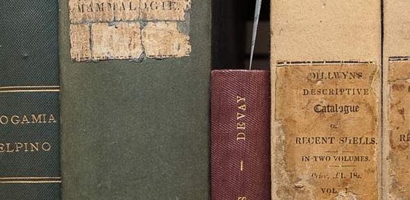 Books from Darwin's personal library