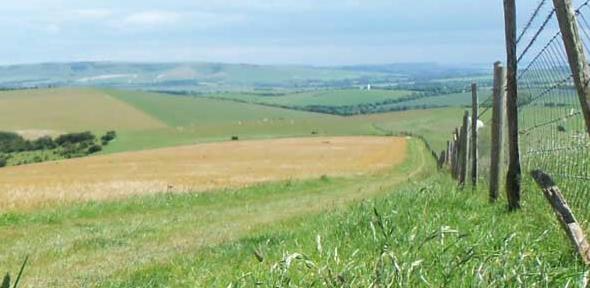 A path on the South Downs Way in Sussex