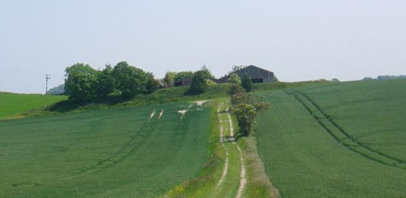 Green and pleasant land: A farm near East Meon in Hampshire.