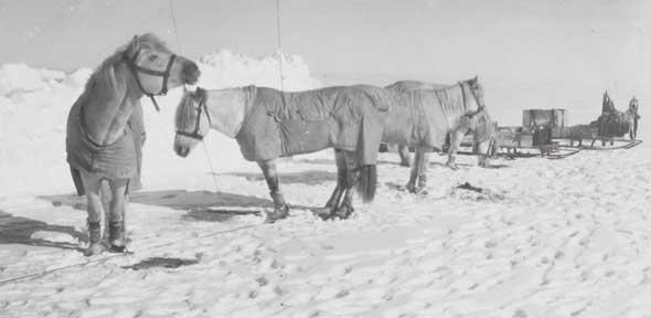 Examples of negatives of photographs taken by Captain R.F. Scott on the 1911 British Antarctic Expedition