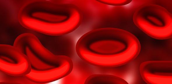 Red blood cells (illustration)