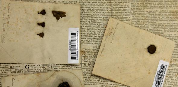 Fungi collected for the Herbarium by Charles Darwin, found stored in a sheet of newspaper from 1828