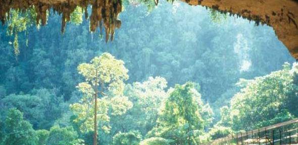 Niah-Cave, Borneo