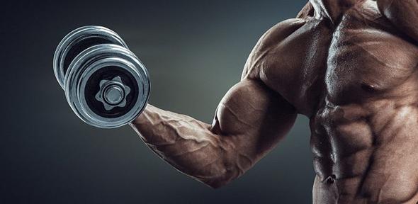 strength images #1 from : https://www.cam.ac.uk/sites/www.cam.ac.uk/files/styles/content-580x288/public/news/research/news/356580644418712d7b445b.jpg?itok=FuaOFpXM