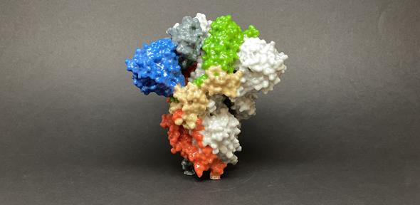 3D print of Spike protein