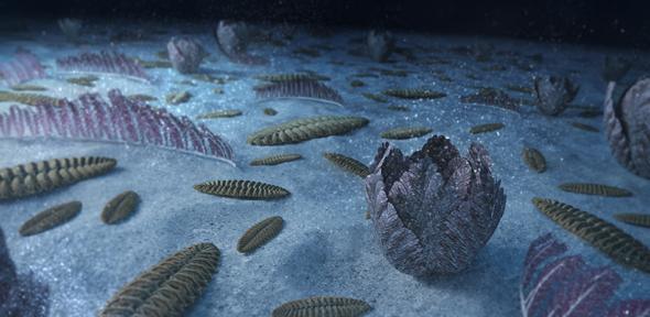 Artistic recreation of the marine animal forest