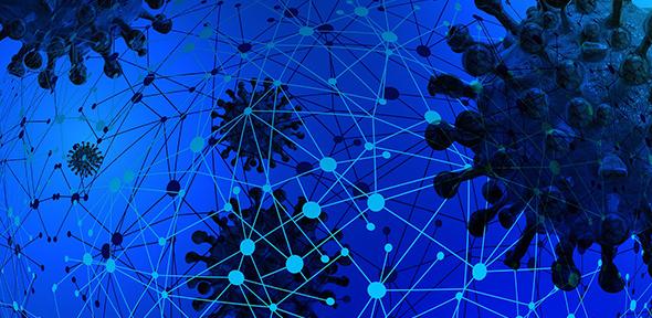 Graphical representation of COVID-19 and network analysis