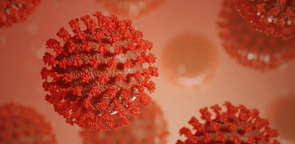Image of SARS-CoV-2 viruses