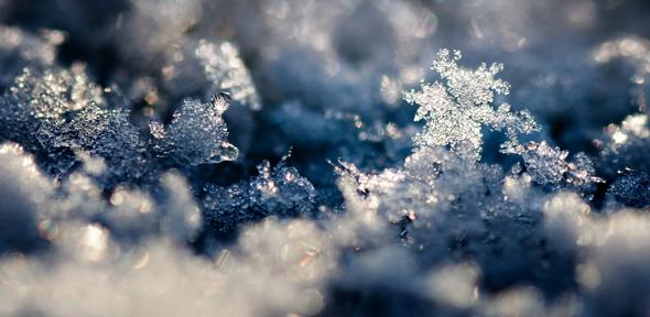 Snow Crystal Landscape