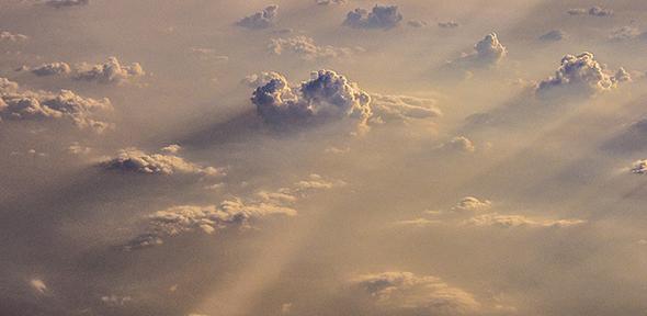 Related Articles Cambridge Forum For Sustainability And