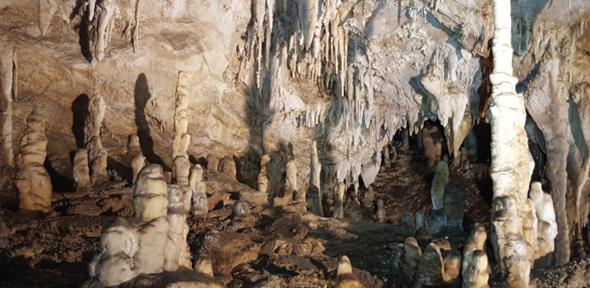 Speleothems in the Corchia Cave, Central Italy