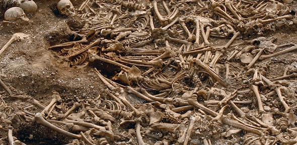 A mass grave of around 50 headless Vikings from a site in Dorset, UK. Some of these remains were used for DNA analysis.