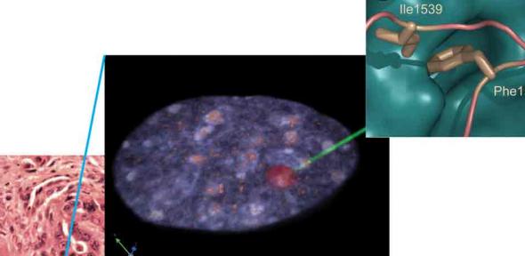 Molecular effect of drugs