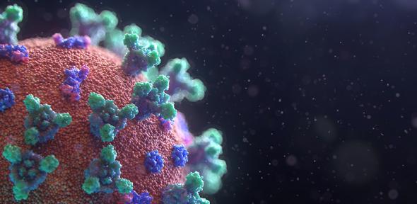 Visualisation of the SARS-CoV-2 virus