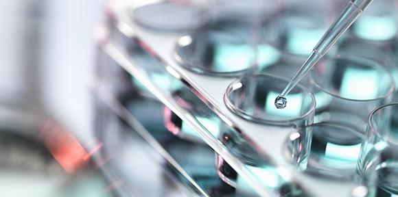 Pipetting sample into a tray