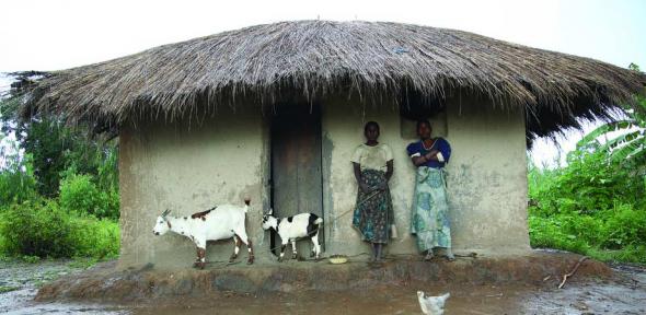 Household takes refuge from the rain in central Malawi