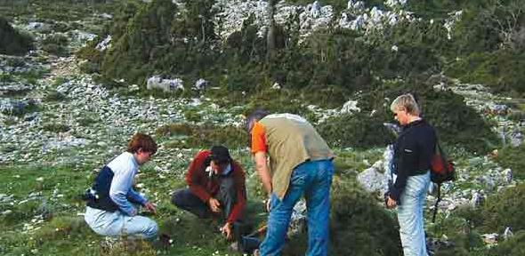 Plant collecting in Kephalonia 