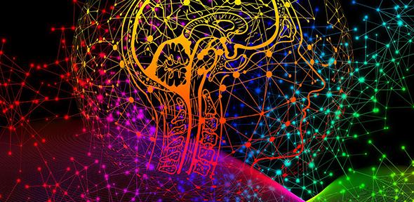 Colourful illustration of human brain