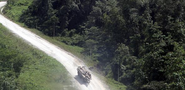 A caravan of logging trucks along a forest road in Sabah, Malaysian Borneo