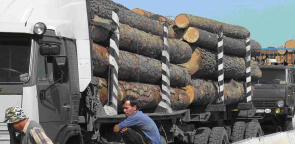 Siberian timber being delivered to China