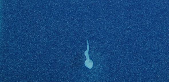 Illustration of sperm