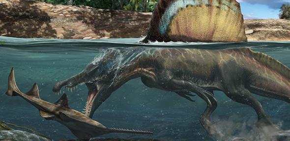 Illustration of Spinosaurus hunting underwater