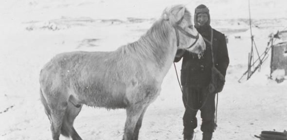 PO Edgar Evans with the pony Snatcher, Cape Evans, October 1911