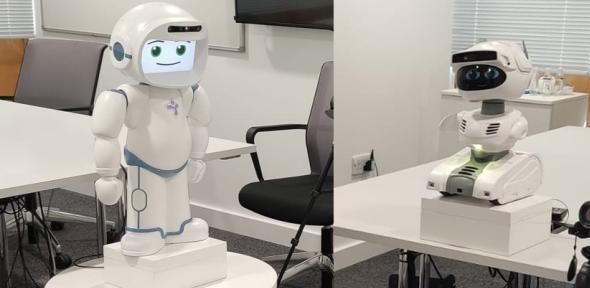 Humanoid QT robot and toy-like Misty robot